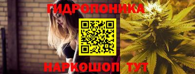 круглые Лесосибирск