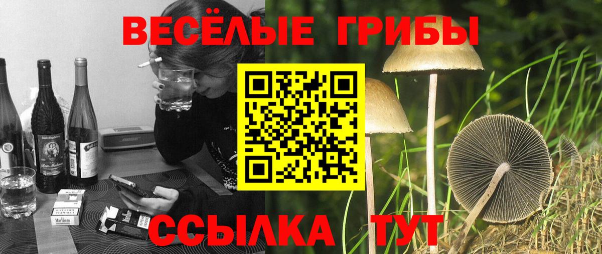 Псилоцибиновые грибы мухоморы Ханты-Мансийск