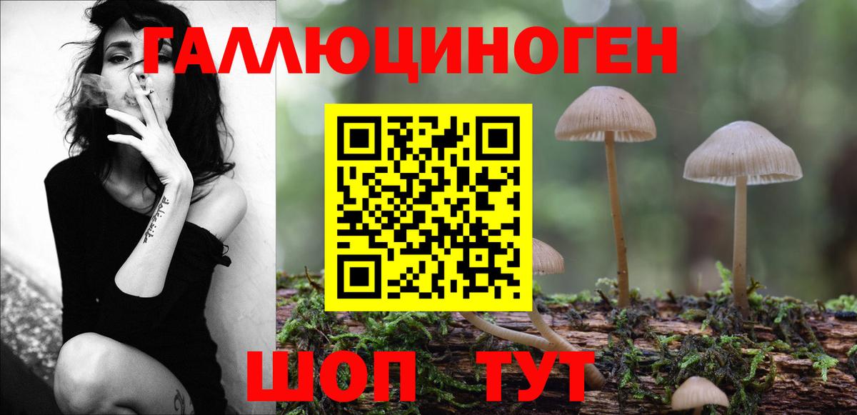купить   Галлюциногенные грибы Psilocybine cubensis  Вход с VPN  Ханты-Мансийск 